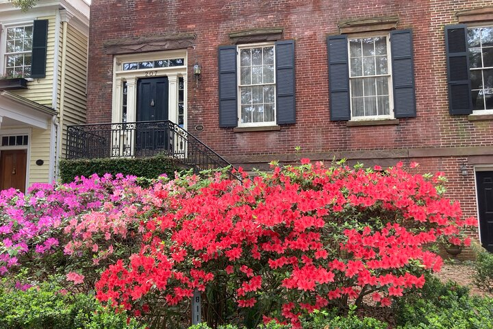 Walking Tour of Savannah's Must-See Sights - Photo 1 of 16